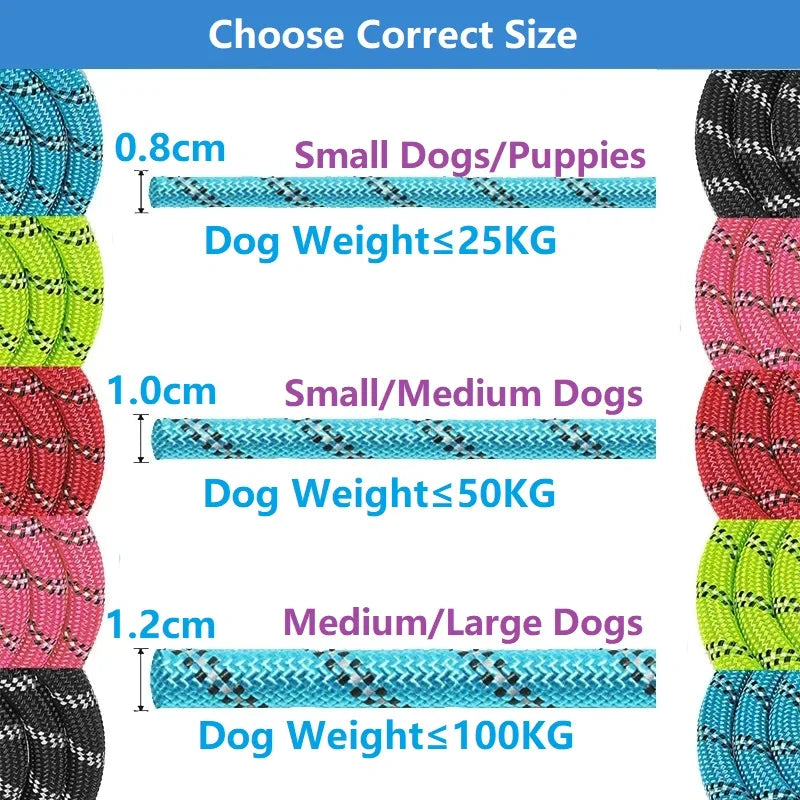 Laisse pour Chien Renforcée avec Poignée Confort | Sécurité Réfléchissante et Durable