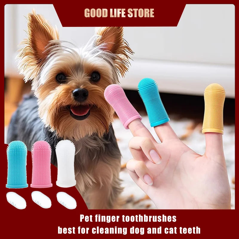 Brosse à Dents pour Chien – Chiots et Seniors - Nos Poilus