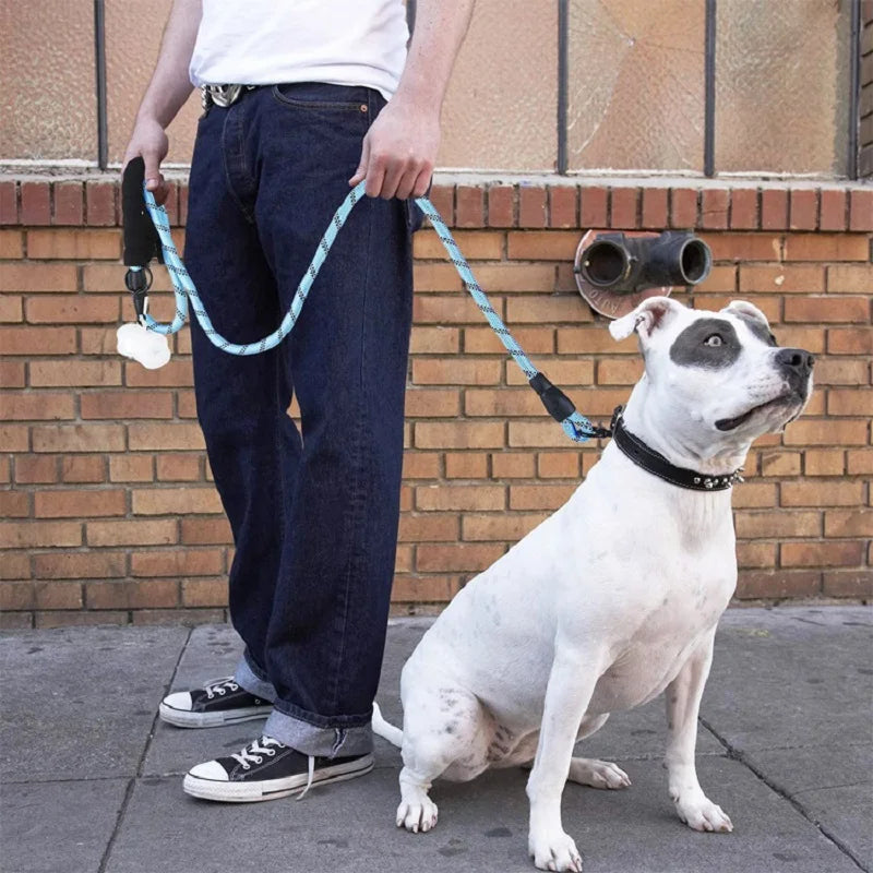 Laisse pour Chien Renforcée avec Poignée Confort | Sécurité Réfléchissante et Durable
