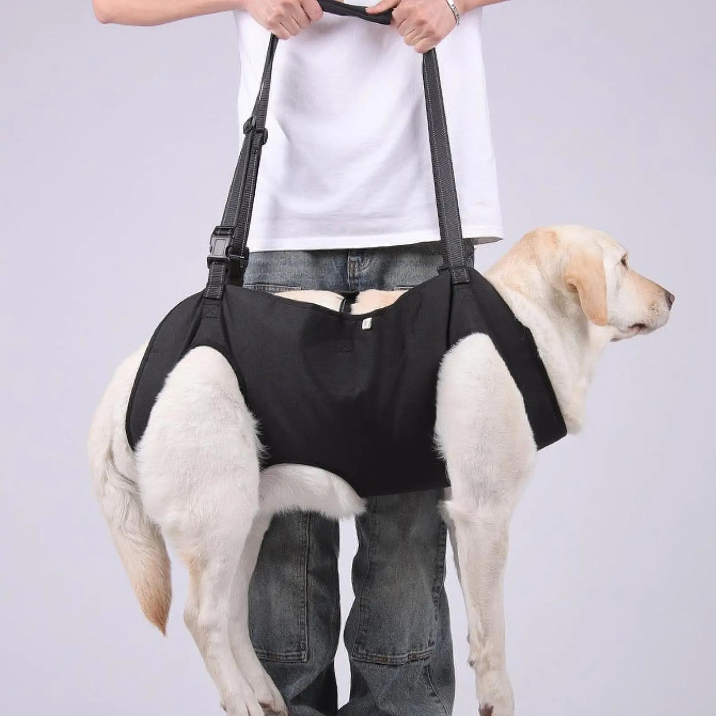 Harnais de  Support du corps du chien