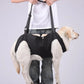 Harnais de  Support du corps du chien