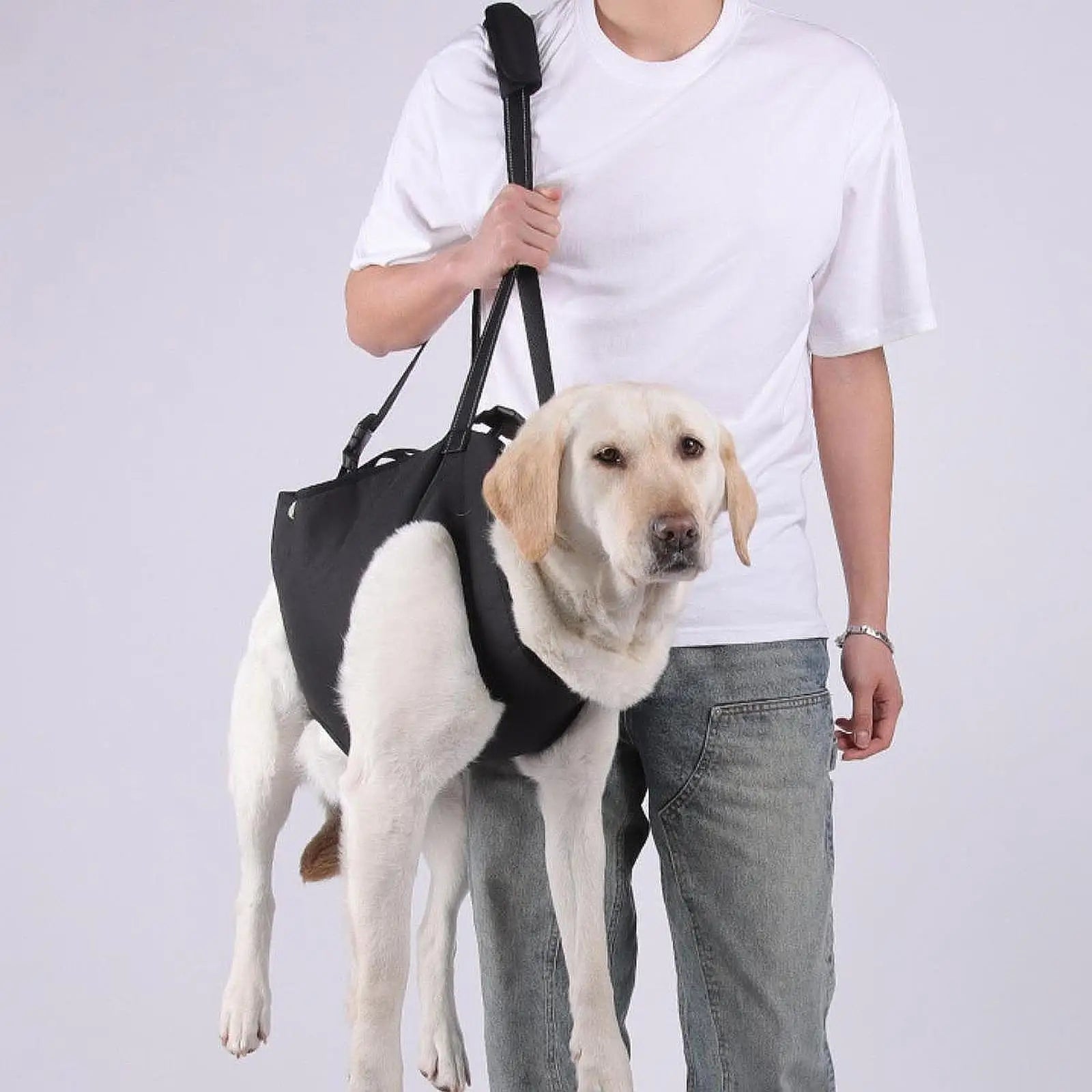 Harnais de levage  Support du corps du chien,