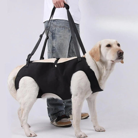 Harnais de  Support du corps du chien