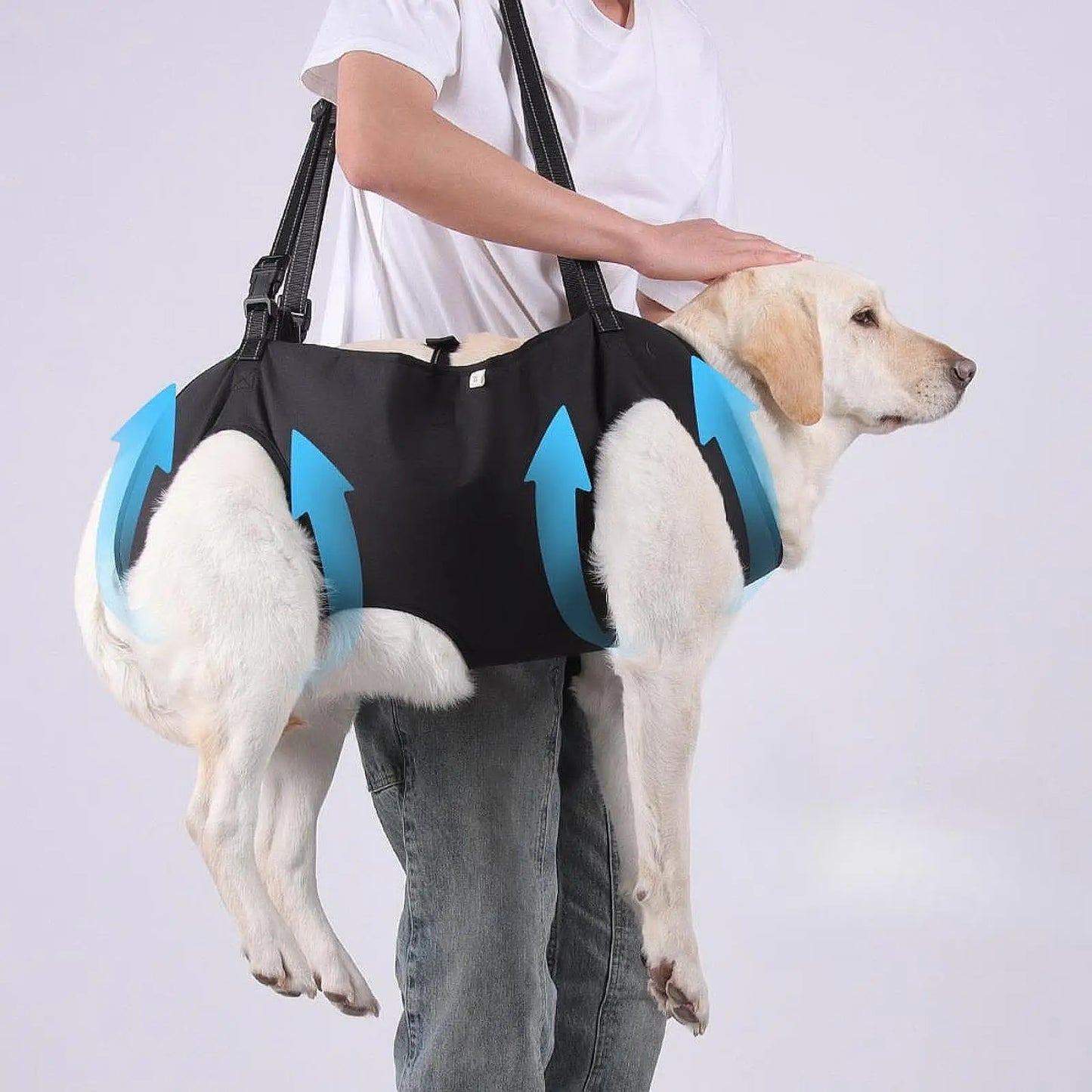 Harnais de  Support du corps du chien