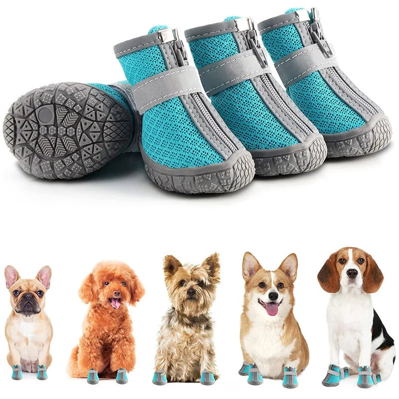 Chaussures Respirantes pour Chiens – Protection Anti-Glisse - Nos Poilus