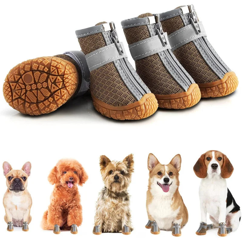 Chaussures Respirantes pour Chiens – Protection Anti-Glisse - Nos Poilus