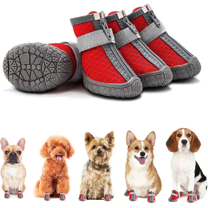 Chaussures Respirantes pour Chiens – Protection Anti-Glisse - Nos Poilus