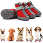 Chaussures Respirantes pour Chiens – Protection Anti-Glisse - Nos Poilus