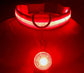 Collier Lumineux Détachable – Sécurité Nocturne Animaux - Nos Poilus