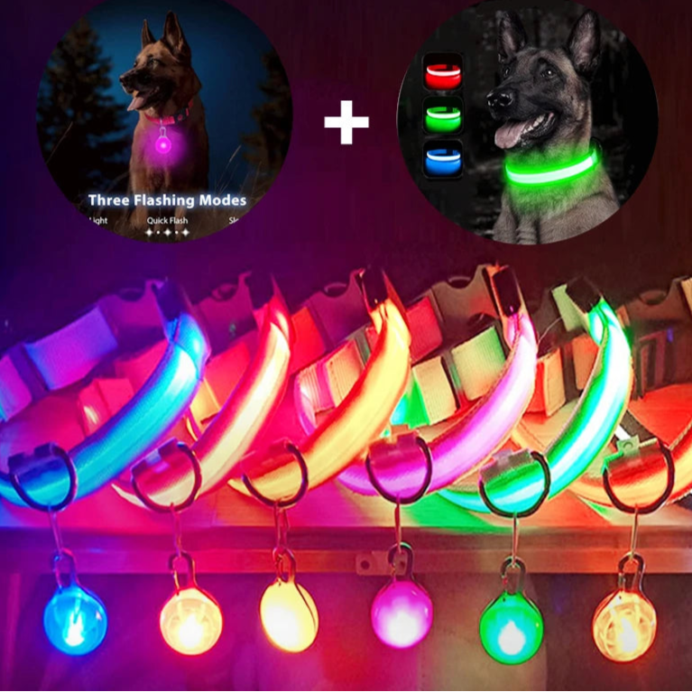 Collier Lumineux Détachable – Sécurité Nocturne Animaux - Nos Poilus