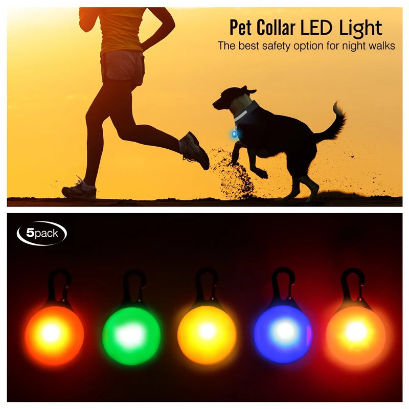 Collier Lumineux Détachable – Sécurité Nocturne Animaux - Nos Poilus