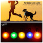 Collier Lumineux Détachable – Sécurité Nocturne Animaux - Nos Poilus