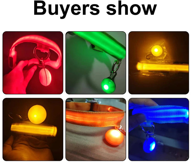 Collier Lumineux Détachable – Sécurité Nocturne Animaux - Nos Poilus