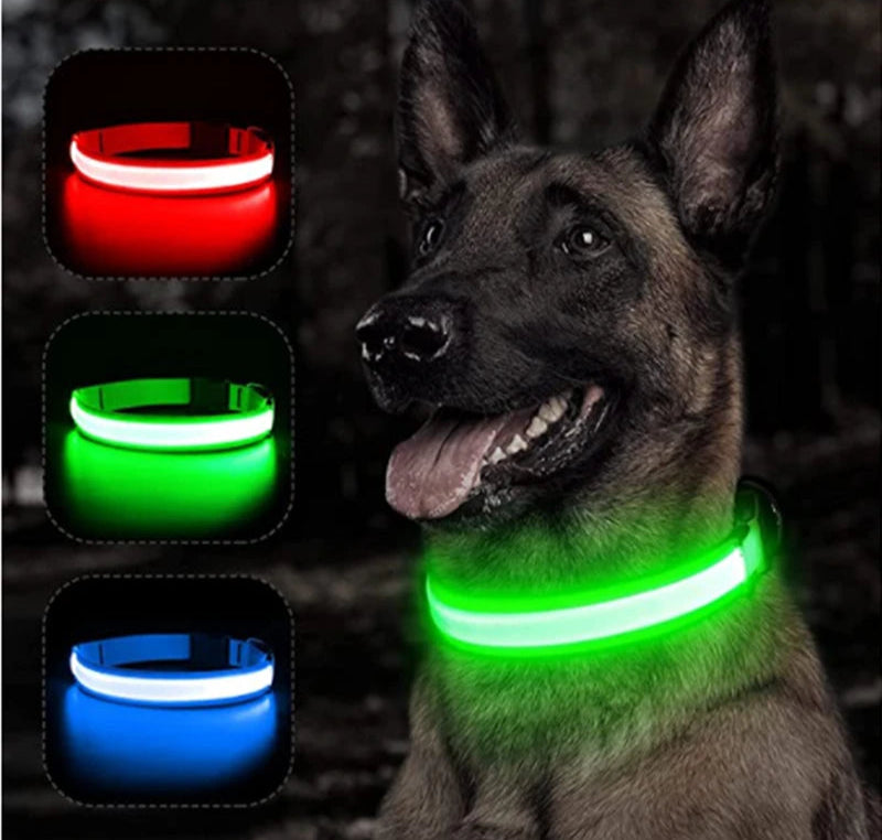 Collier Lumineux Détachable – Sécurité Nocturne Animaux - Nos Poilus