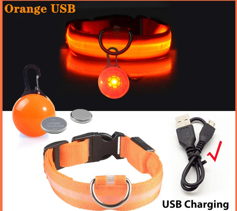 Collier Lumineux Détachable – Sécurité Nocturne Animaux - Nos Poilus