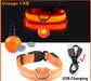 Collier Lumineux Détachable – Sécurité Nocturne Animaux - Nos Poilus