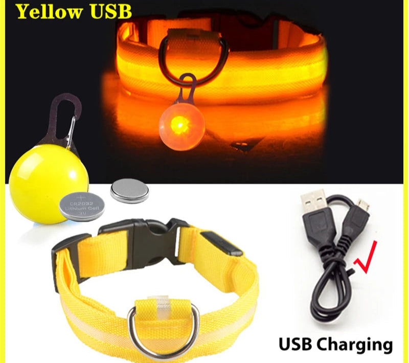 Collier Lumineux Détachable – Sécurité Nocturne Animaux - Nos Poilus