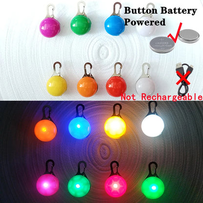 Collier Lumineux Détachable – Sécurité Nocturne Animaux - Nos Poilus