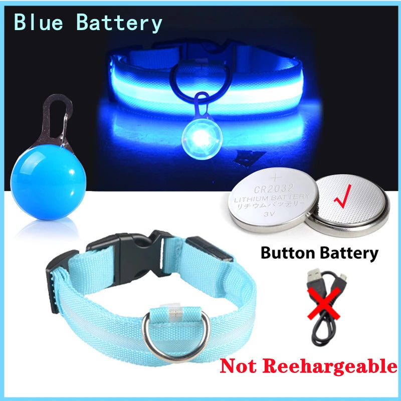 Collier Lumineux Détachable – Sécurité Nocturne Animaux - Nos Poilus