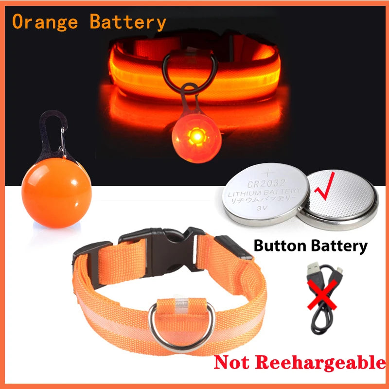 Collier Lumineux Détachable – Sécurité Nocturne Animaux - Nos Poilus