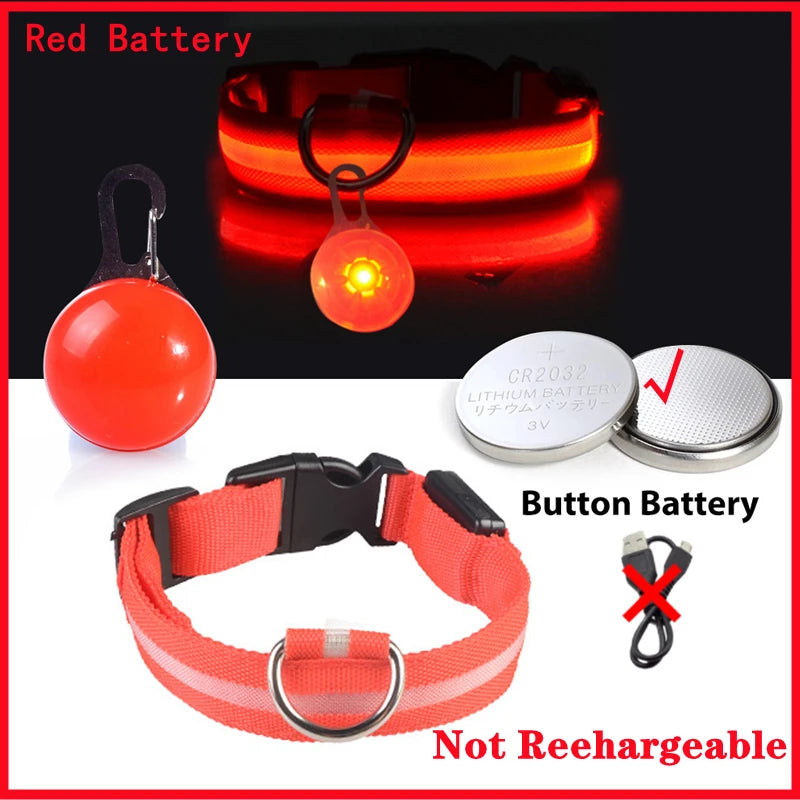 Collier Lumineux Détachable – Sécurité Nocturne Animaux - Nos Poilus