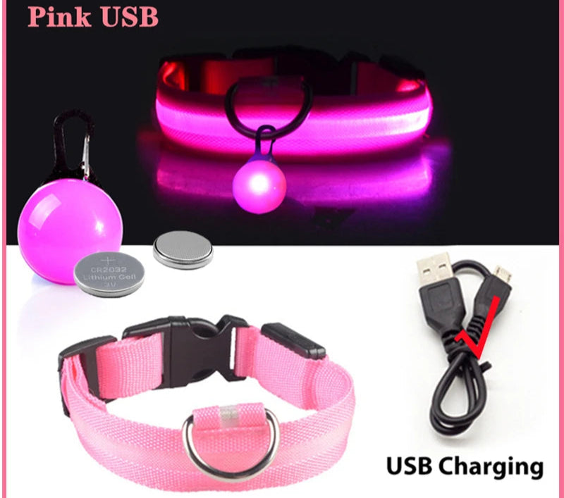 Collier Lumineux Détachable – Sécurité Nocturne Animaux - Nos Poilus