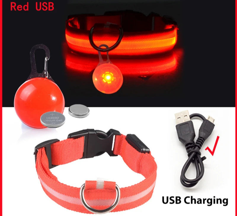Collier Lumineux Détachable – Sécurité Nocturne Animaux - Nos Poilus