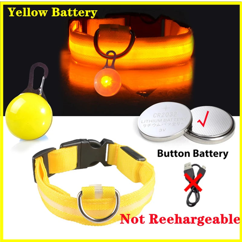 Collier Lumineux Détachable – Sécurité Nocturne Animaux - Nos Poilus