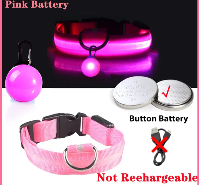 Collier Lumineux Détachable – Sécurité Nocturne Animaux - Nos Poilus