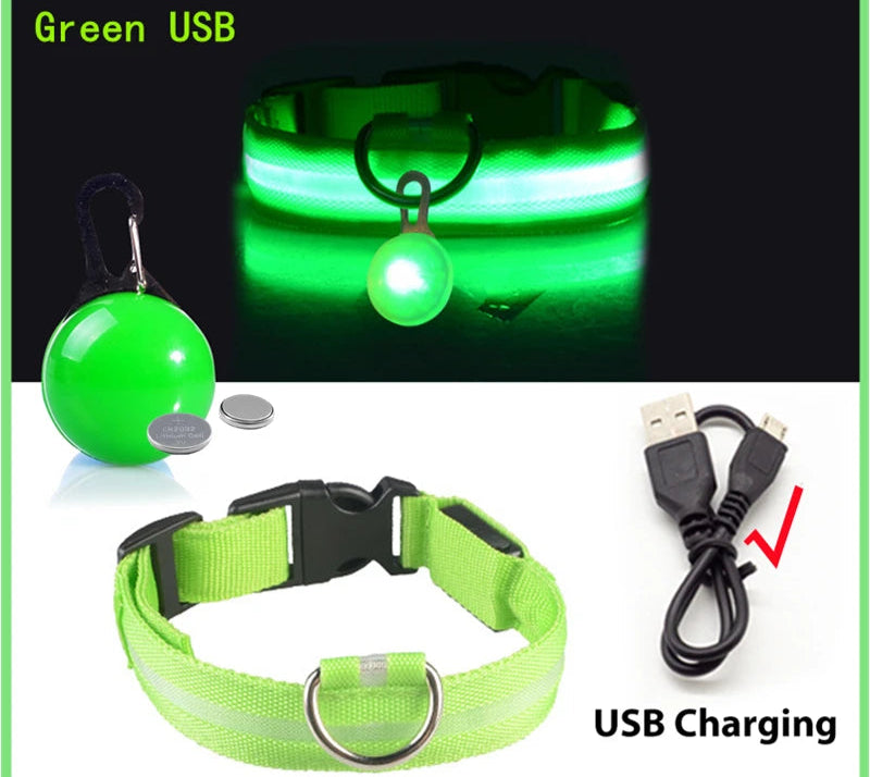 Collier Lumineux Détachable – Sécurité Nocturne Animaux - Nos Poilus