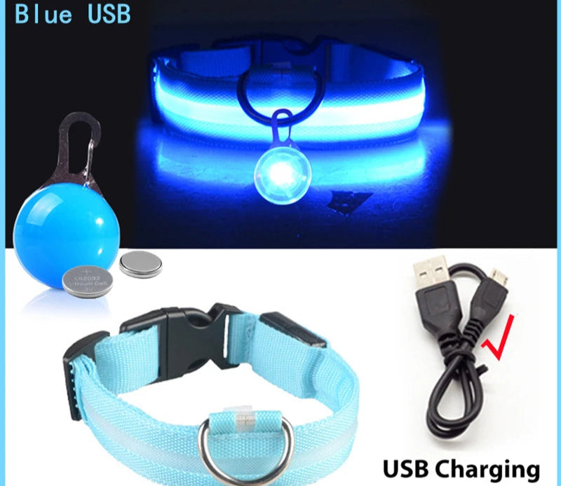 Collier Lumineux Détachable – Sécurité Nocturne Animaux - Nos Poilus
