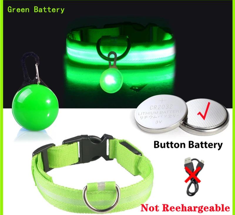 Collier Lumineux Détachable – Sécurité Nocturne Animaux - Nos Poilus