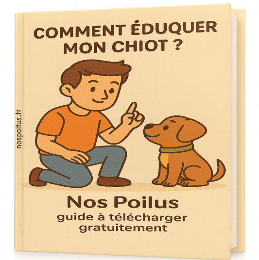 apprendre a dresser et eduquer un chiot 