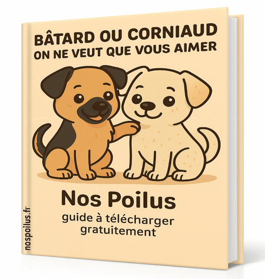 difference entre un chien batard et un corniaud