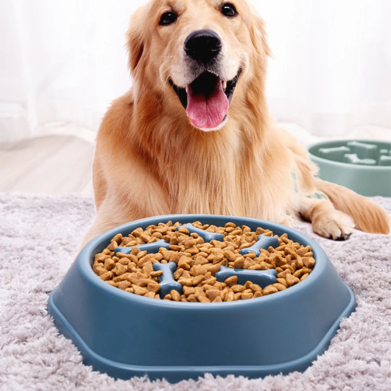 Gamelle Écologique Anti-Glouton pour Chiens - Nos Poilus