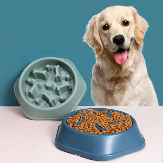 Gamelle Écologique Anti-Glouton pour Chiens - Nos Poilus