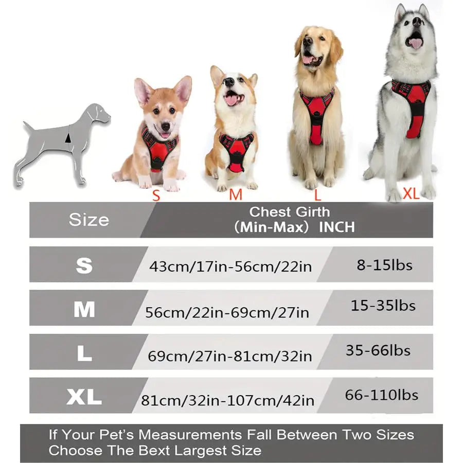 Harnais de Marche Chien – Poignée Réfléchissante et Solide - Nos Poilus