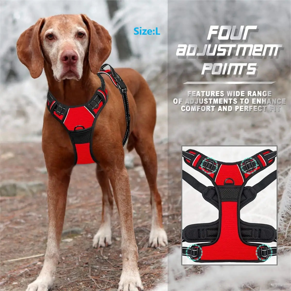 Harnais de Marche Chien – Poignée Réfléchissante et Solide - Nos Poilus