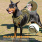 Harnais securité tactique pour chien actif