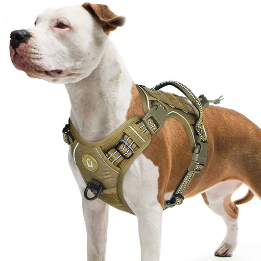 Harnais securité tactique pour chien actif