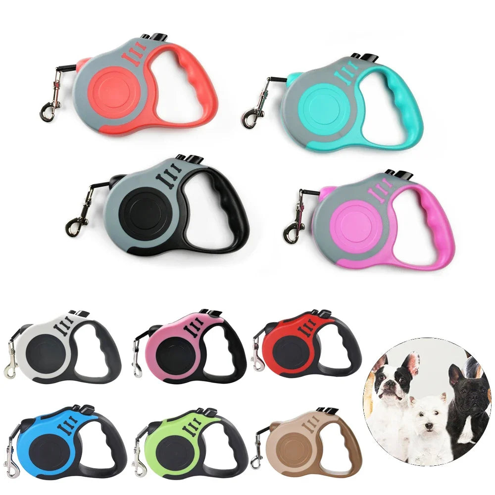 Laisse Extensible Chien – 3 à 5 mètres - Nos Poilus