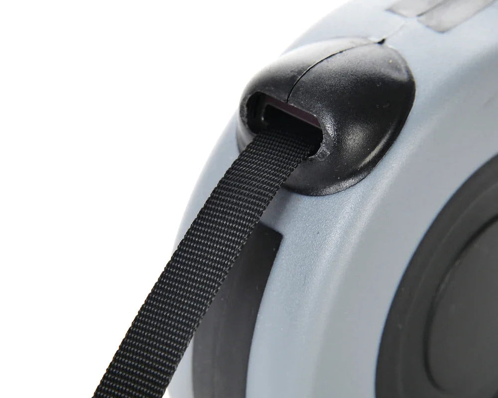 Laisse Extensible Chien – 3 à 5 mètres - Nos Poilus