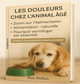 Comment atténuer les douleurs chez le chien âgé ?
