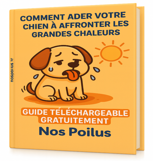 Comment aider un chien qui a trop chaud