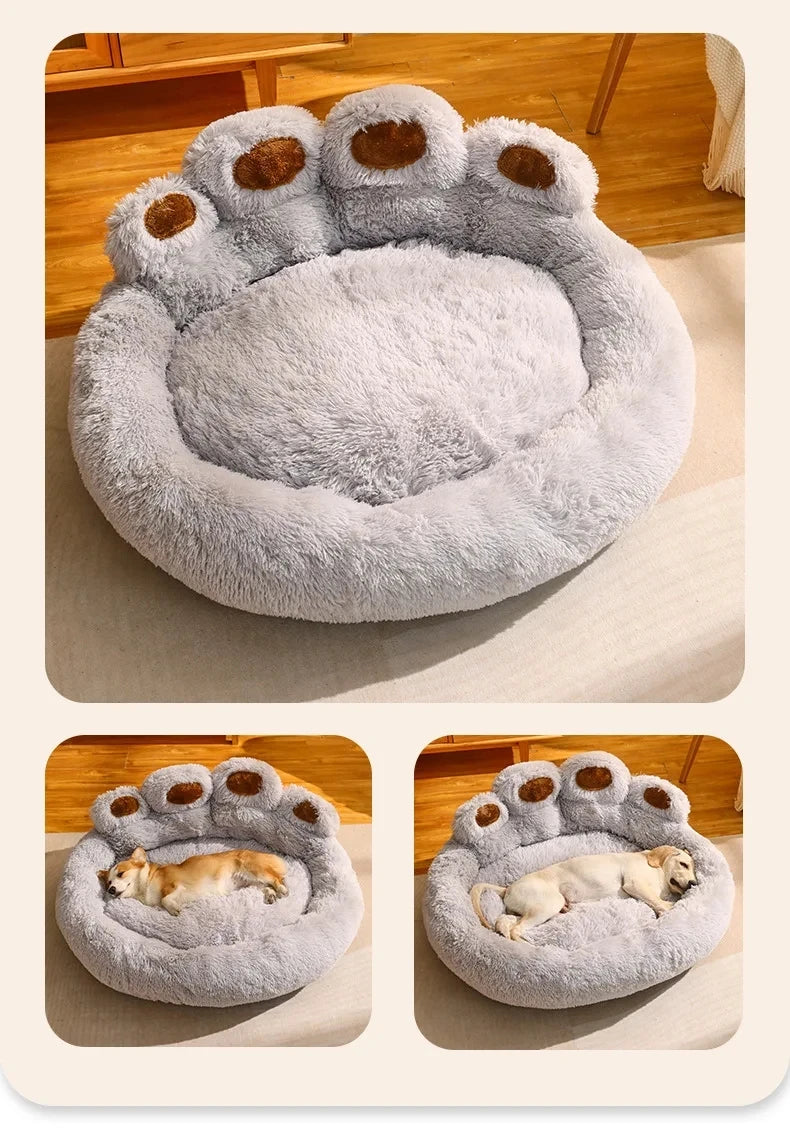 panier pour chien agé
