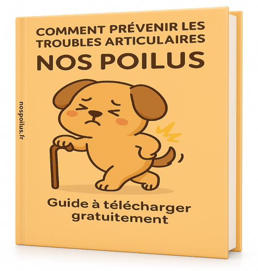 comment soulager un chien qui souffre de problemes articulaires