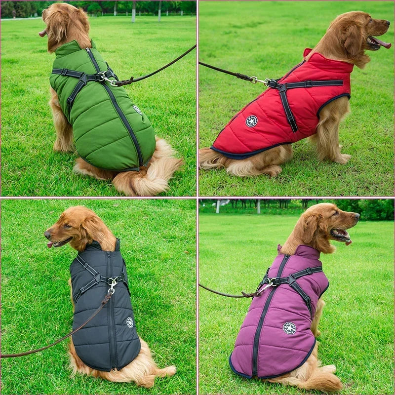 Manteau d’Hiver Doublé – Protection Chien Froid - Nos Poilus