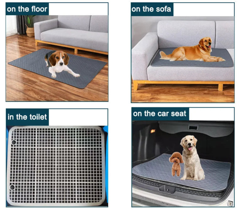 Tapis Absorbant Réutilisable – Chien Senior - Nos Poilus