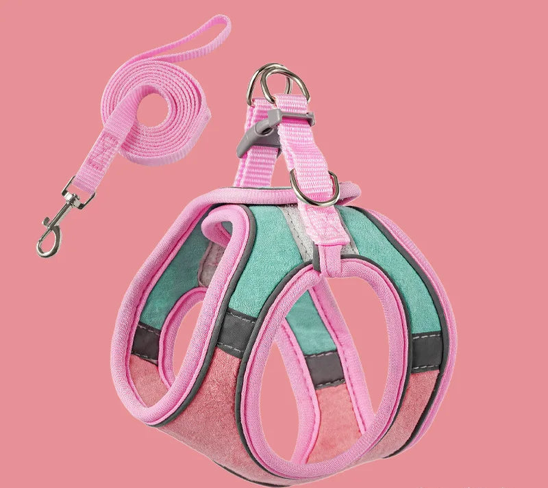 harnais gilet réfléchissant pour petit chat avec laisse assortie – Nos Poilus