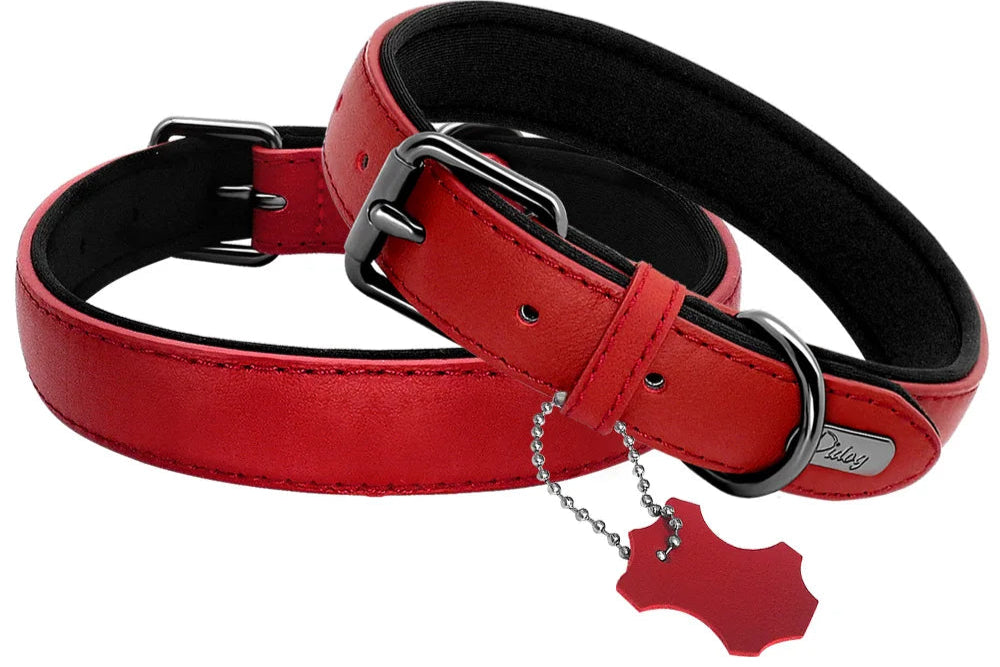 Collier de chien rembourré en cuir souple confortable